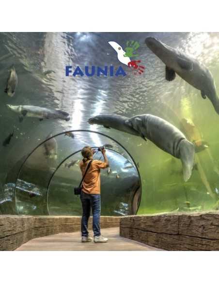 Entradas Faunia Madrid 22€ 35% Descuento