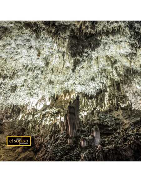 Entradas Cueva El Soplao Cantabria desde 12€ Compra online
