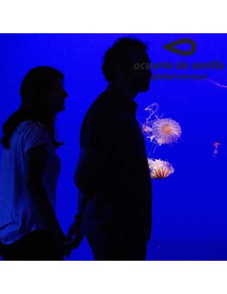 Entradas Acuario de Sevilla 12€🐠 Precios y horarios