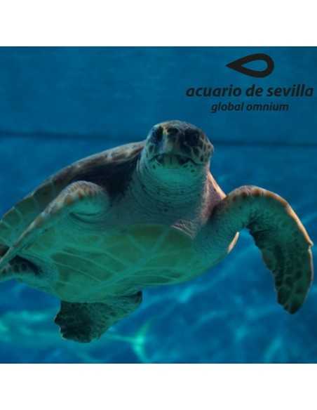 Entradas Acuario de Sevilla 12€🐠 Precios y horarios