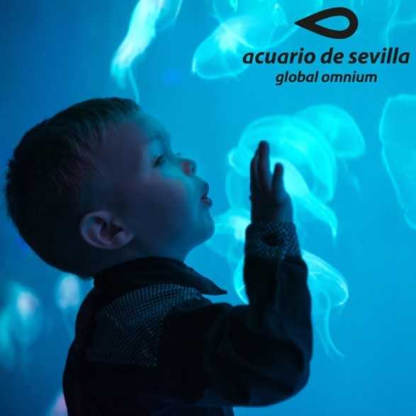 Entradas Acuario de Sevilla 12€🐠 Precios y horarios