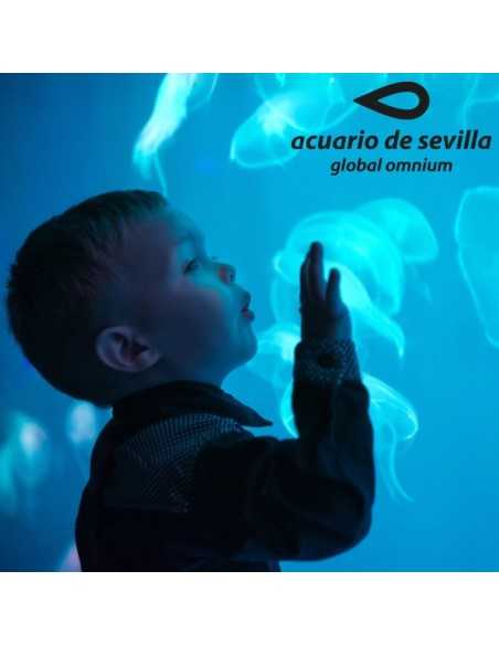 Entradas Acuario de Sevilla 12€🐠 Precios y horarios