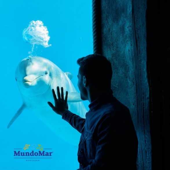 Entradas Mundomar Benidorm desde 22€ 16% Descuento