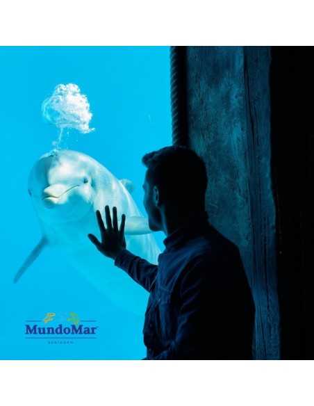 Entradas Mundomar Benidorm desde 22€ 16% Descuento