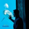Entradas Mundomar Benidorm desde 22€ 16% Descuento