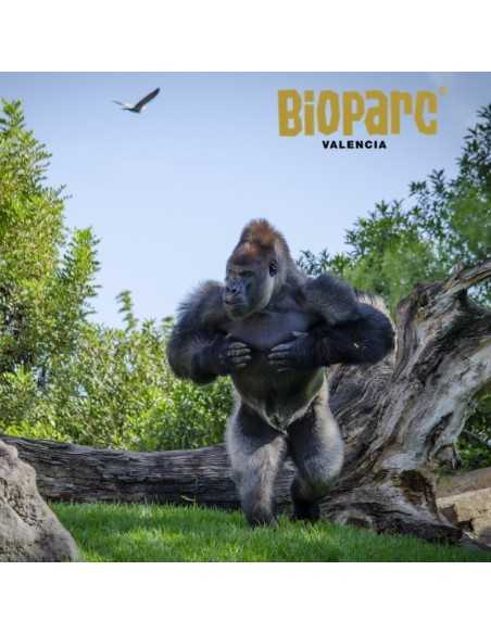 Entradas BIOPARC Valencia desde 21,70€ | Descuentos