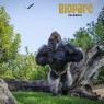 Entradas BIOPARC Valencia desde 21,70€ | Descuentos