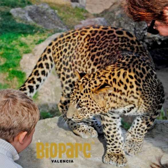 Entradas BIOPARC Valencia desde 21,70€ | Descuentos