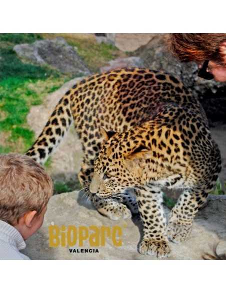 Entradas BIOPARC Valencia desde 21,70€ | Descuentos