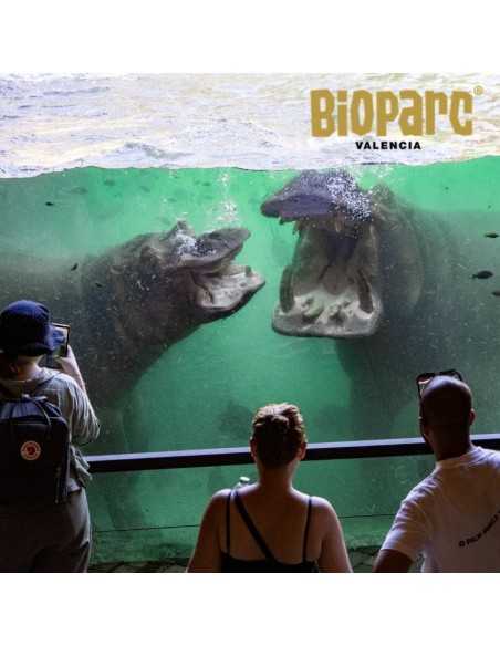 Entradas BIOPARC Valencia desde 21,70€ | Descuentos