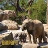 Entradas BIOPARC Valencia desde 21,70€ | Descuentos