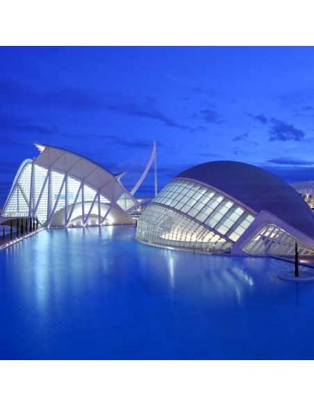 Entradas Ciudad de las Artes y las Ciencias - Precios y ofertas