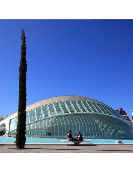 Entradas Ciudad de las Artes y las Ciencias - Precios y ofertas