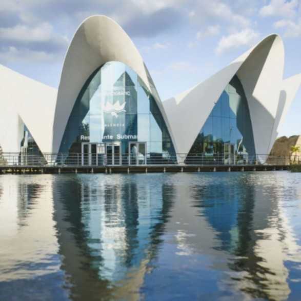 Entradas Ciudad de las Artes y las Ciencias - Precios y ofertas
