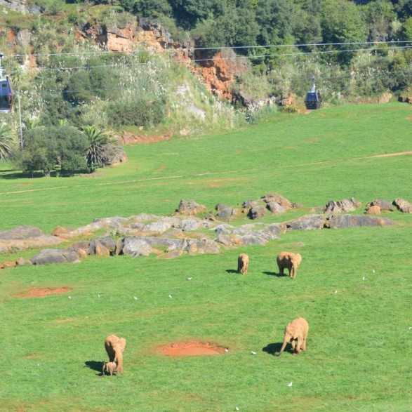 Entradas Cabárceno desde 25€ |Precios, ofertas y descuentos