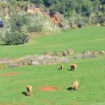 Entradas Cabárceno desde 25€ |Precios, ofertas y descuentos