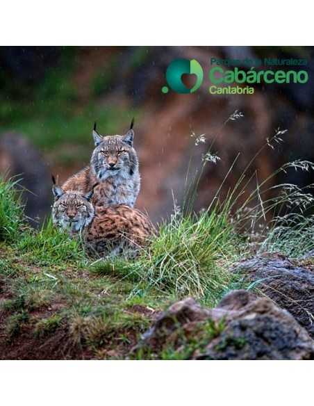 Entradas Cabárceno desde 25€ |Precios, ofertas y descuentos
