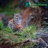Entradas Cabárceno desde 25€ |Precios, ofertas y descuentos