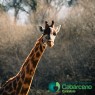 Entradas Cabárceno desde 25€ |Precios, ofertas y descuentos