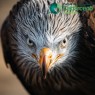 Entradas Cabárceno desde 25€ |Precios, ofertas y descuentos