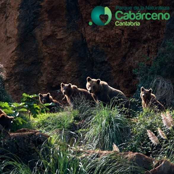 Entradas Cabárceno desde 25€ |Precios, ofertas y descuentos