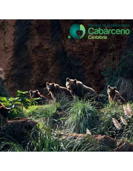Entradas Cabárceno desde 25€ |Precios, ofertas y descuentos