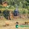 Entradas Cabárceno desde 25€ |Precios, ofertas y descuentos