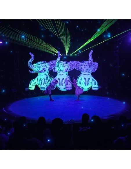 Entradas CIRCO ALEGRIA desde 16,50€ 🎪Circos en Madrid