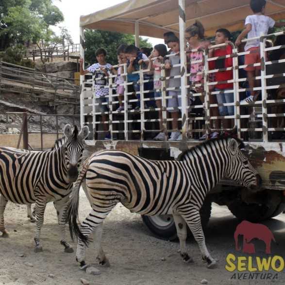 Entradas para Selwo Aventura desde 19,90 € | Descuentos