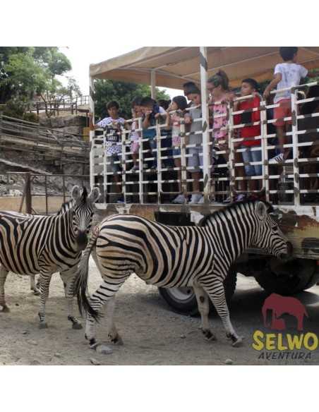 Entradas para Selwo Aventura desde 19,90 € | Descuentos