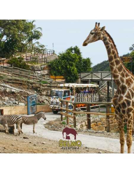 Entradas para Selwo Aventura desde 19,90 € | Descuentos
