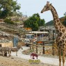 Entradas para Selwo Aventura desde 19,90 € | Descuentos