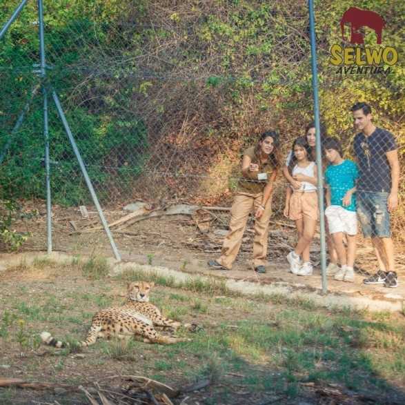 Entradas para Selwo Aventura desde 19,90 € | Descuentos