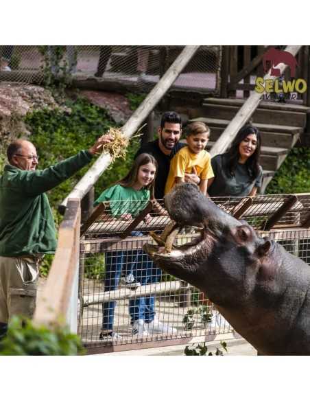 Entradas para Selwo Aventura desde 19,90 € | Descuentos