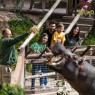 Entradas para Selwo Aventura desde 19,90 € | Descuentos