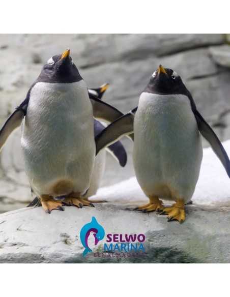 Entradas para Selwo Marina 15,53 € Descuento 35%