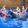 Entradas para Selwo Marina 15,53 € Descuento 35%