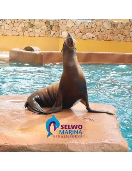 Entradas para Selwo Marina 15,53 € Descuento 35%