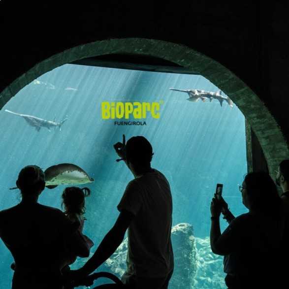 Entradas Bioparc Fuengirola desde 23 € | 2x1 y precios