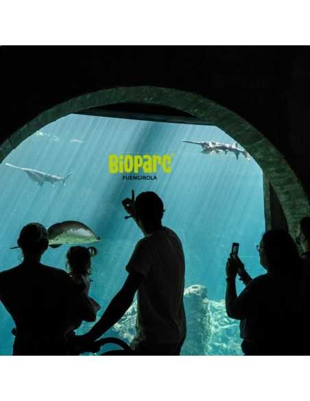 Entradas Bioparc Fuengirola desde 23 € | 2x1 y precios