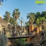 Entradas Bioparc Fuengirola desde 23 € | 2x1 y precios