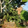 Entradas Bioparc Fuengirola desde 23 € | 2x1 y precios