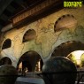 Entradas Bioparc Fuengirola desde 23 € | 2x1 y precios