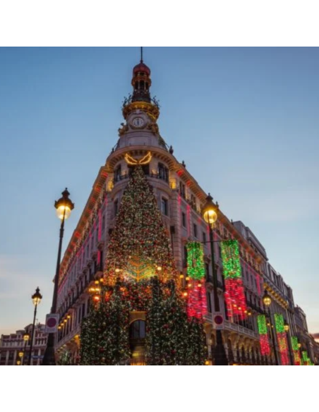 Entradas Navibus Tour Madrid Luces de Navidad🎄🚌