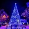 Entradas Navibus Tour Madrid Luces de Navidad🎄🚌