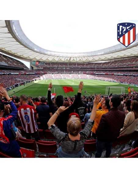 Entradas Atlético de Madrid ⚽ | Partidos en el Metropolitano