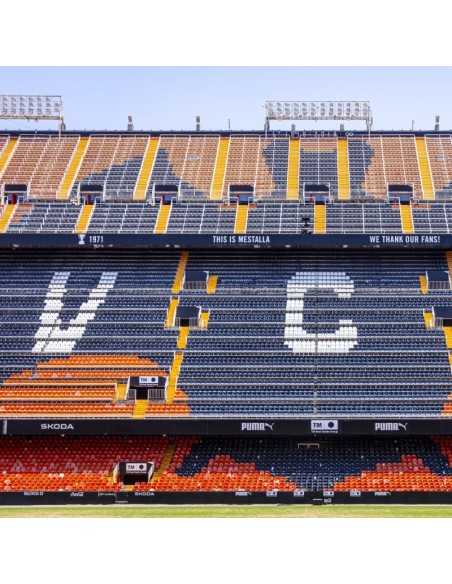 Tour Mestalla Forever desde 13,50 € ⚽Precios y tickets.