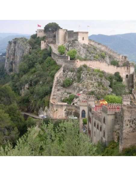 Excursiones Valencia organizadas y en el día