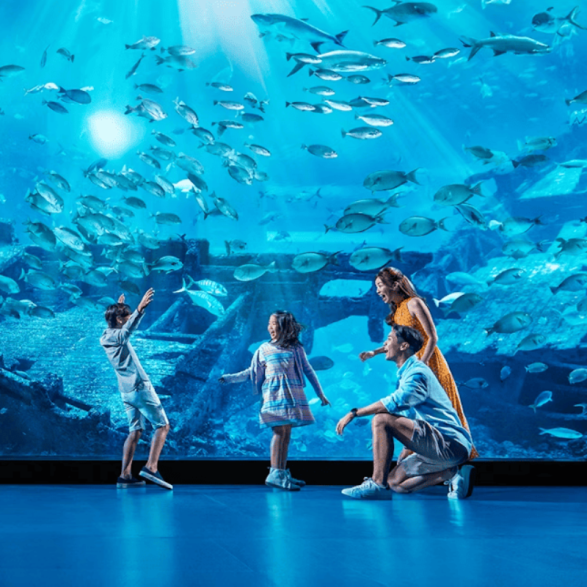 Entradas Acuario de Sevilla 12€🐠 Precios y horarios