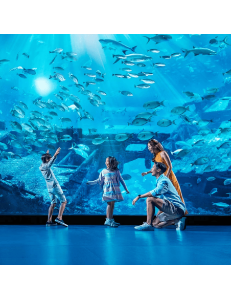 Entradas Acuario de Sevilla 12€🐠 Precios y horarios